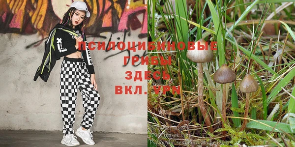 первитин Алзамай