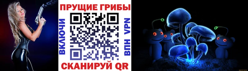 Псилоцибиновые грибы мухоморы  цены наркотик  Ливны 