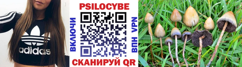 Псилоцибиновые грибы Cubensis Ливны