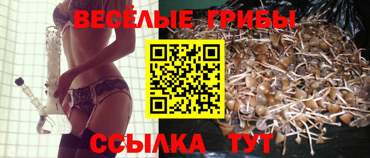 Ливны  Галлюциногенные грибы GOLDEN TEACHER  Вход с VPN 